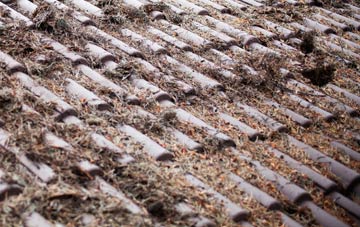 Rylah roof cleaning companies